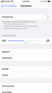VoiceOver settings screen on iOS